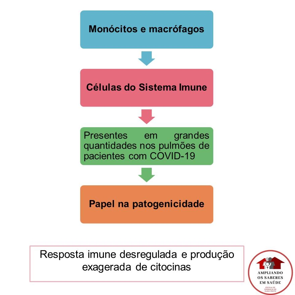 USP Slide2